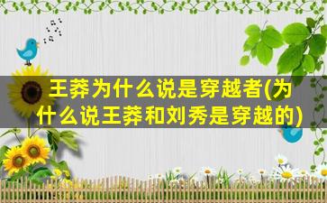 王莽为什么说是穿越者(为什么说王莽和刘秀是穿越的)