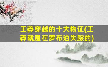 王莽穿越的十大物证(王莽就是在罗布泊失踪的)