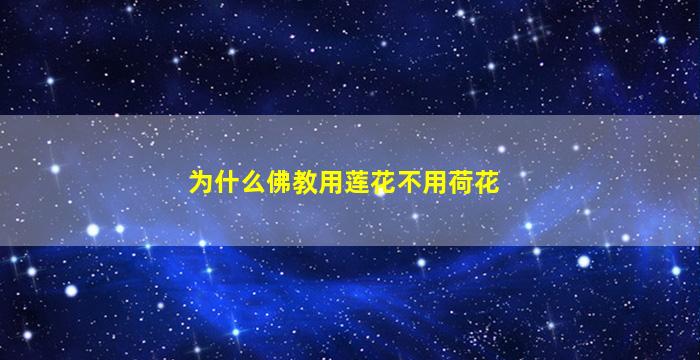 为什么佛教用莲花不用荷花