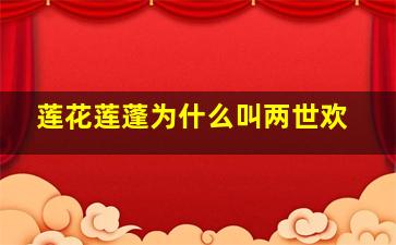 莲花莲蓬为什么叫两世欢