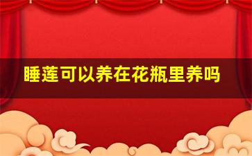 睡莲可以养在花瓶里养吗