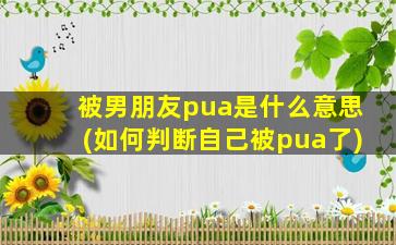 被男朋友pua是什么意思(如何判断自己被pua了)