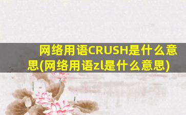 网络用语CRUSH是什么意思(网络用语zl是什么意思)