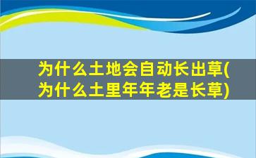 为什么土地会自动长出草(为什么土里年年老是长草)