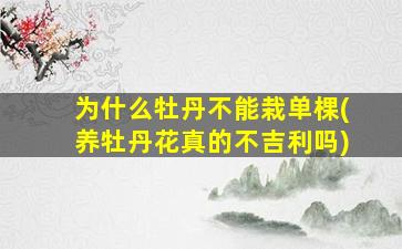 为什么牡丹不能栽单棵(养牡丹花真的不吉利吗)