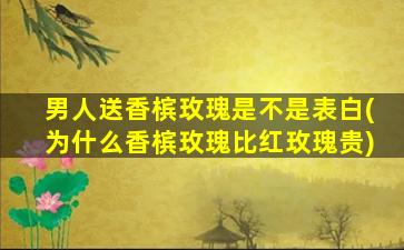 男人送香槟玫瑰是不是表白(为什么香槟玫瑰比红玫瑰贵)