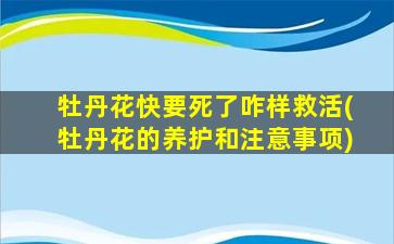 牡丹花快要死了咋样救活(牡丹花的养护和注意事项)