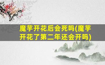 魔芋开花后会死吗(魔芋开花了第二年还会开吗)