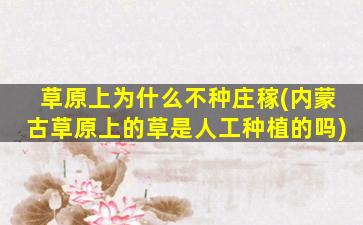 草原上为什么不种庄稼(内蒙古草原上的草是人工种植的吗)