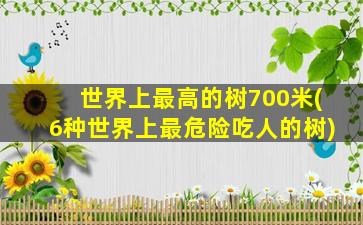 世界上最高的树700米(6种世界上最危险吃人的树)