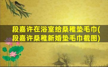段嘉许在浴室给桑稚垫毛巾(段嘉许桑稚新婚垫毛巾截图)