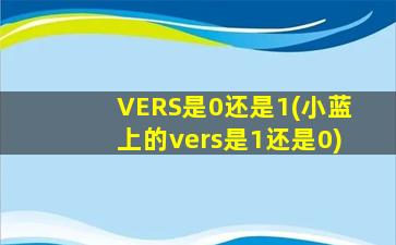 VERS是0还是1(小蓝上的vers是1还是0)