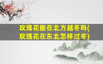 玫瑰花能在北方越冬吗(玫瑰花在东北怎样过冬)