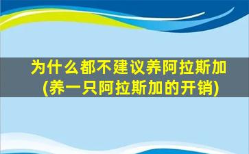 为什么都不建议养阿拉斯加(养一只阿拉斯加的开销)