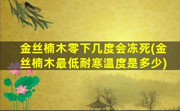 金丝楠木零下几度会冻死(金丝楠木最低耐寒温度是多少)