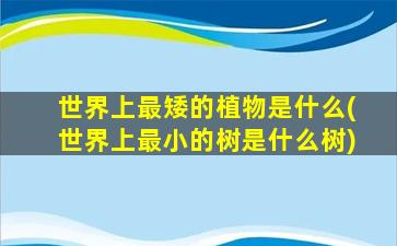 世界上最矮的植物是什么(世界上最小的树是什么树)