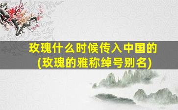 玫瑰什么时候传入中国的(玫瑰的雅称绰号别名)