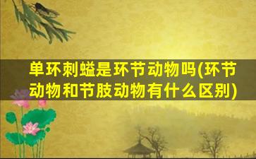 单环刺螠是环节动物吗(环节动物和节肢动物有什么区别)
