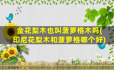 金花梨木也叫菠萝格木吗(印尼花梨木和菠萝格哪个好)