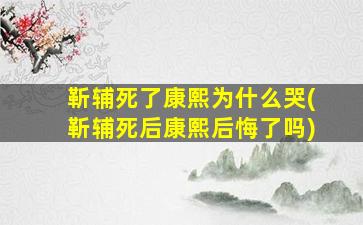 靳辅死了康熙为什么哭(靳辅死后康熙后悔了吗)