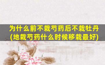 为什么前不栽芍药后不栽牡丹(地栽芍药什么时候移栽最好)