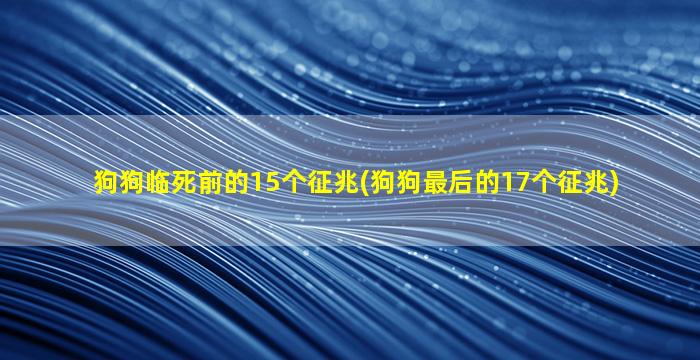 狗狗临死前的15个征兆(狗狗最后的17个征兆)