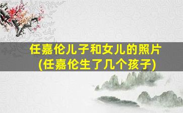 任嘉伦儿子和女儿的照片(任嘉伦生了几个孩子)