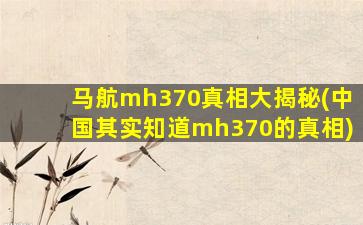 马航mh370真相大揭秘(中国其实知道mh370的真相)