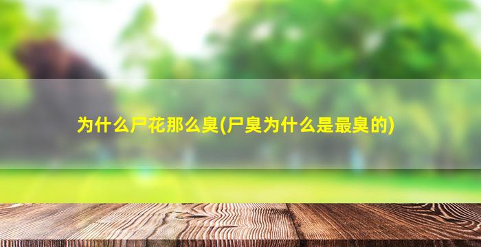 为什么尸花那么臭(尸臭为什么是最臭的)