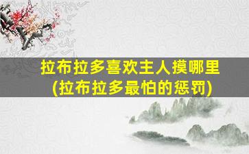 拉布拉多喜欢主人摸哪里(拉布拉多最怕的惩罚)