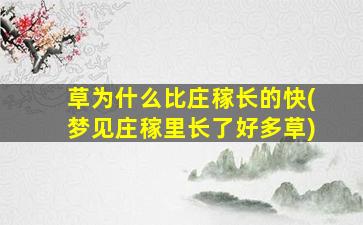 草为什么比庄稼长的快(梦见庄稼里长了好多草)
