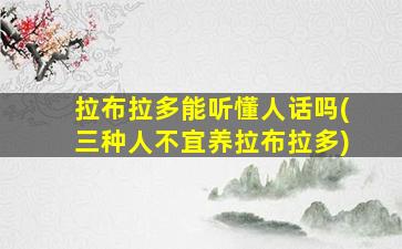拉布拉多能听懂人话吗(三种人不宜养拉布拉多)
