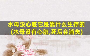 水母没心脏它是靠什么生存的(水母没有心脏,死后会消失)