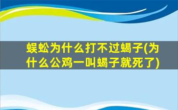 蜈蚣为什么打不过蝎子(为什么公鸡一叫蝎子就死了)