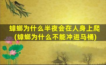 蟑螂为什么半夜会在人身上爬(蟑螂为什么不能冲进马桶)