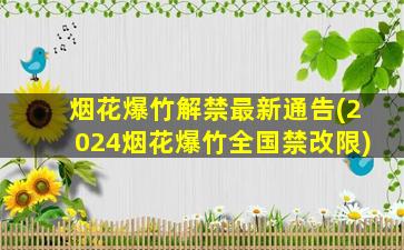 烟花爆竹解禁最新通告(2024烟花爆竹全国禁改限)