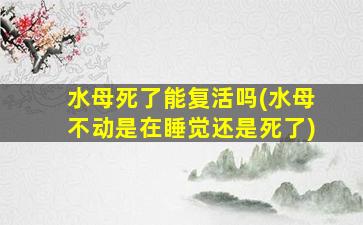 水母死了能复活吗(水母不动是在睡觉还是死了)