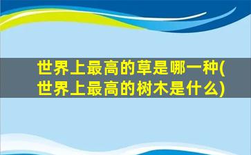 世界上最高的草是哪一种(世界上最高的树木是什么)