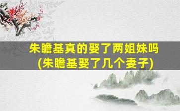 朱瞻基真的娶了两姐妹吗(朱瞻基娶了几个妻子)