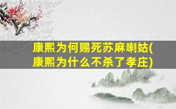 康熙为何赐死苏麻喇姑(康熙为什么不杀了孝庄)