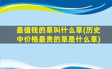 最值钱的草叫什么草(历史中价格最贵的草是什么草)