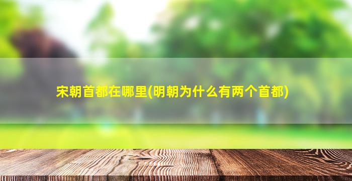 宋朝首都在哪里(明朝为什么有两个首都)