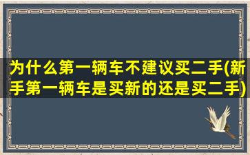 为什么第一辆车不建议买二手(新手第一辆车是买新的还是买二手)