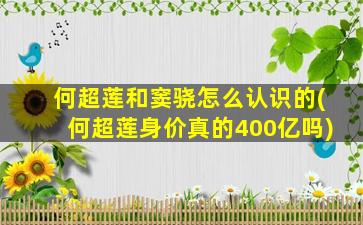 何超莲和窦骁怎么认识的(何超莲身价真的400亿吗)