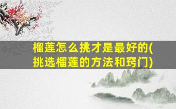 榴莲怎么挑才是最好的(挑选榴莲的方法和窍门)