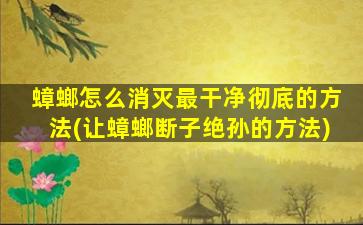 蟑螂怎么消灭最干净彻底的方法(让蟑螂断子绝孙的方法)