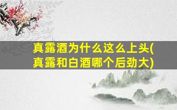 真露酒为什么这么上头(真露和白酒哪个后劲大)