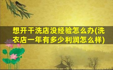 想开干洗店没经验怎么办(洗衣店一年有多少利润怎么样)