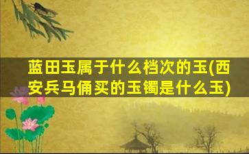 蓝田玉属于什么档次的玉(西安兵马俑买的玉镯是什么玉)