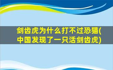 剑齿虎为什么打不过恐猫(中国发现了一只活剑齿虎)